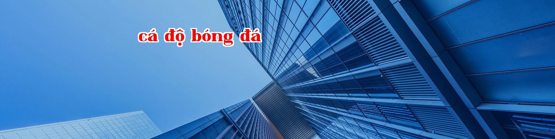 Về chúng tôi